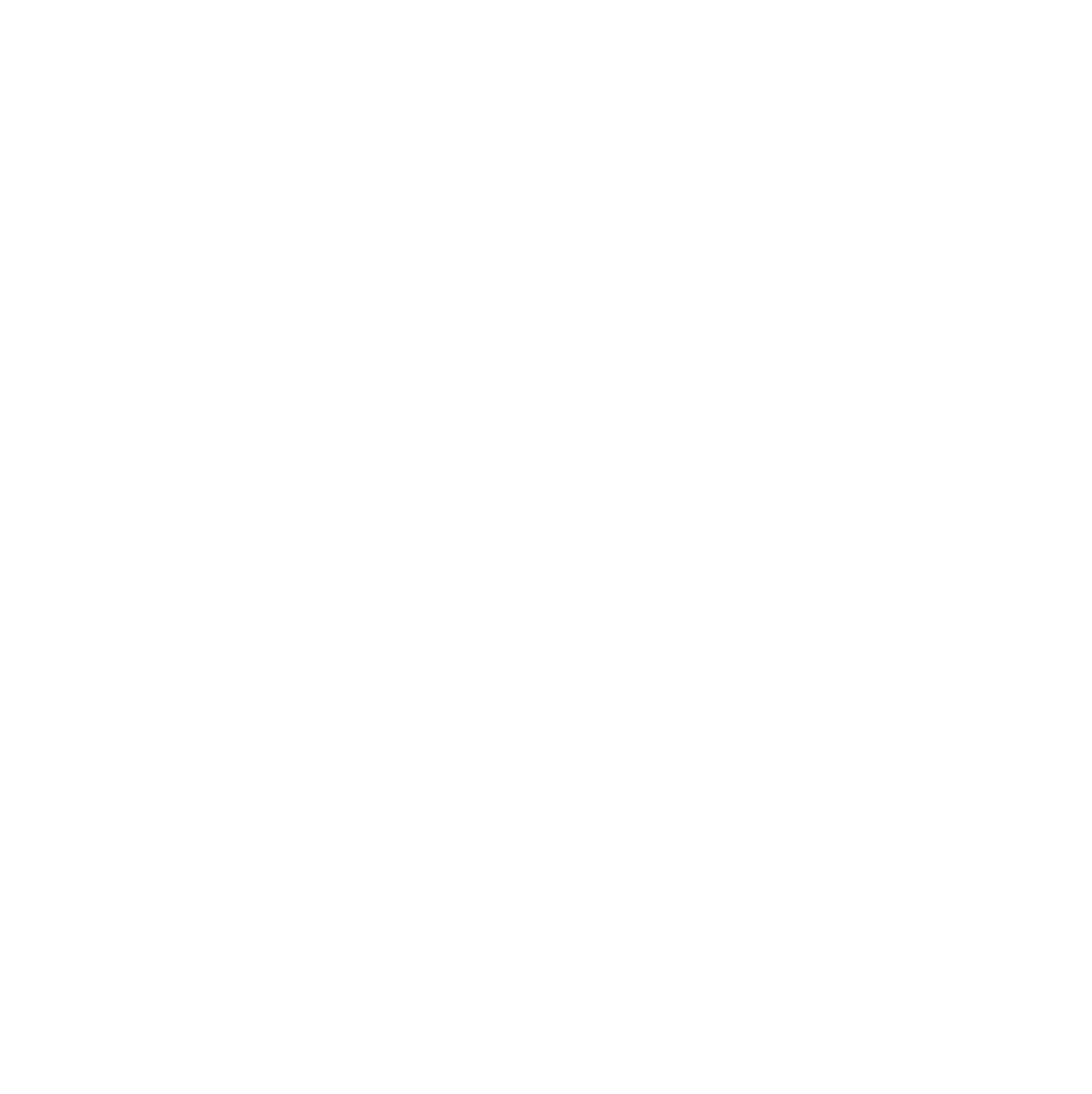 شیر زانو اکونومی