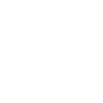 شیر زانو اکونومی