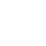 پروانه ای 1/2اکونومی تکسا