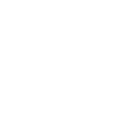 شیر حیاطی تکسا